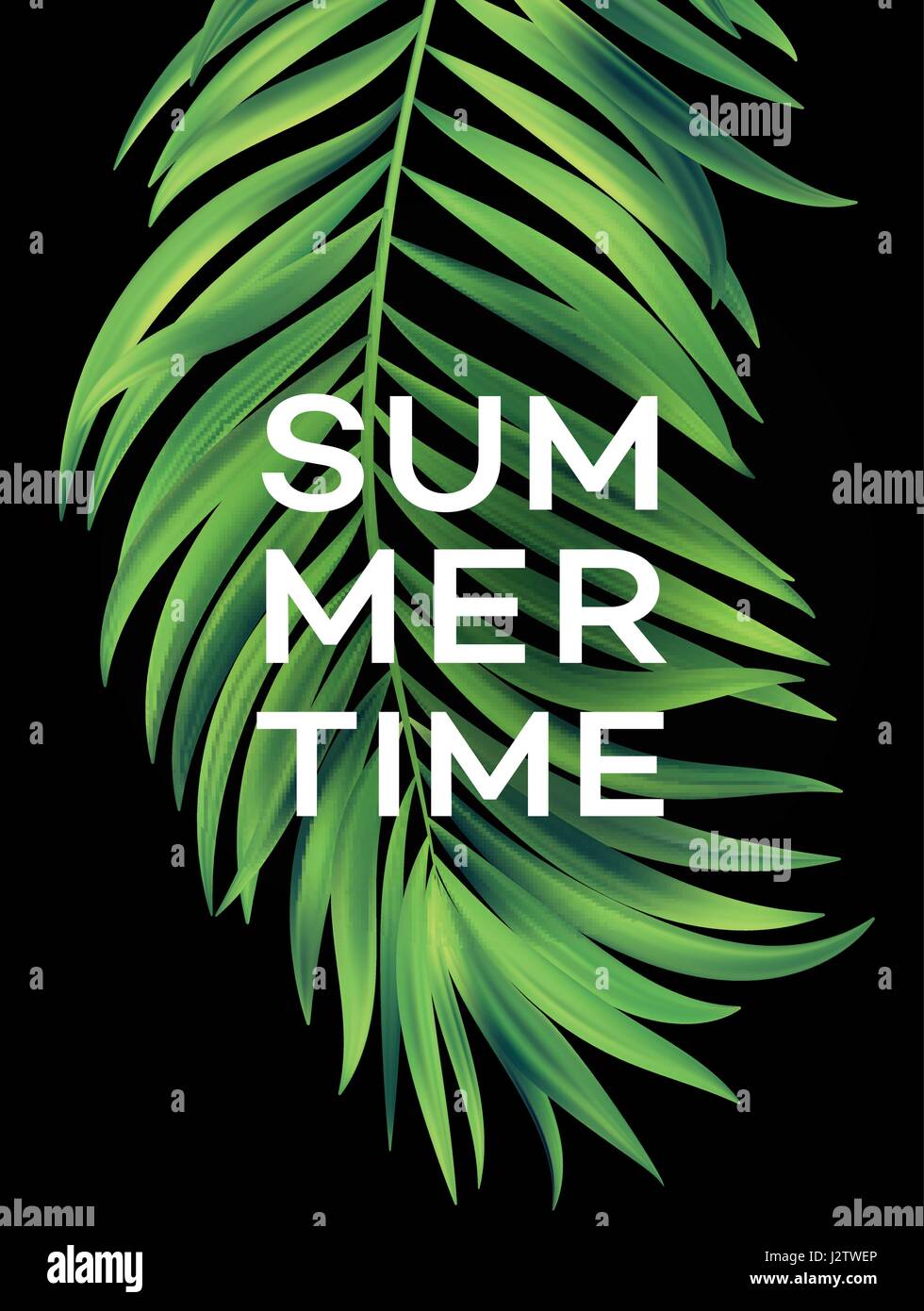 Summer poster with tropical palm leaf . Vector illustration Stock ...