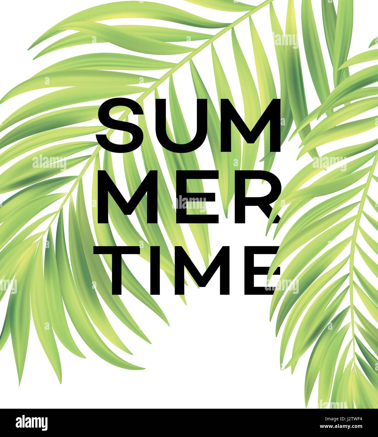 Summer poster with tropical palm leaf . Vector illustration Stock ...