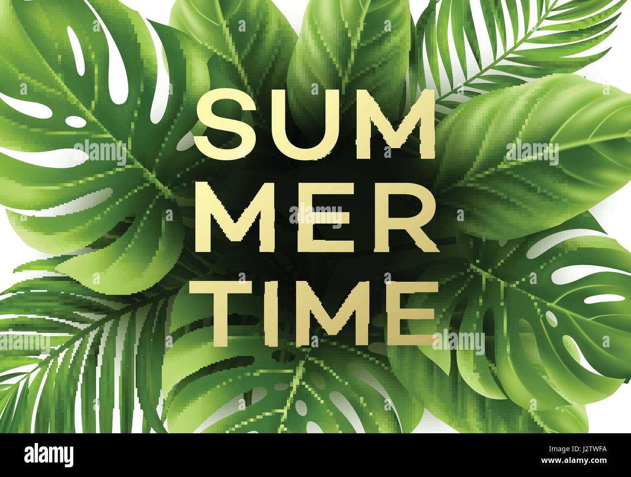 Summer poster with tropical palm leaf . Vector illustration Stock ...