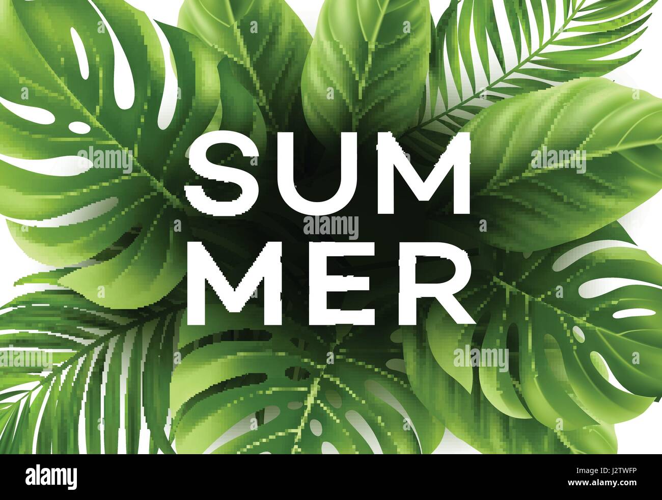 Summer poster with tropical palm leaf . Vector illustration Stock ...