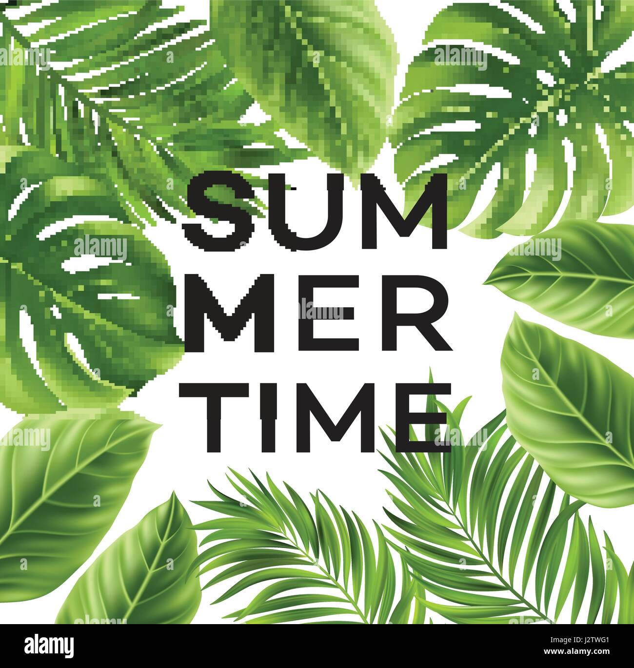 Summer poster with tropical palm leaf . Vector illustration Stock Vector