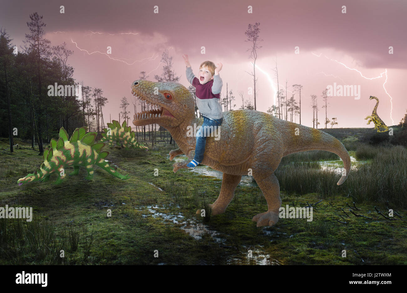 Imaginação, Divertimento, Jogo, Menina, Dinoaur Foto de Stock - Imagem de  menina, tiranossauro: 123573258