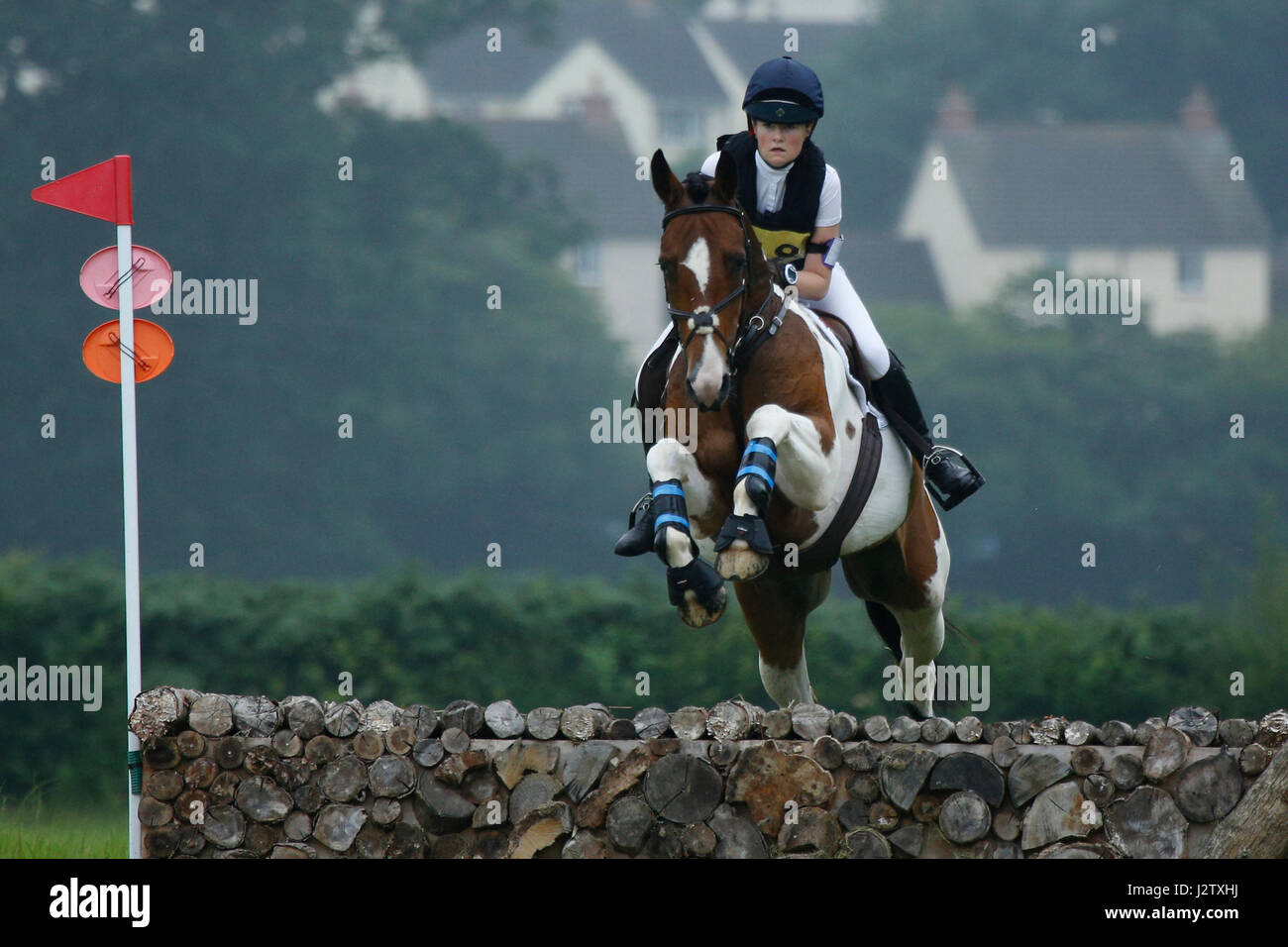 Horse jumping Stock Photo