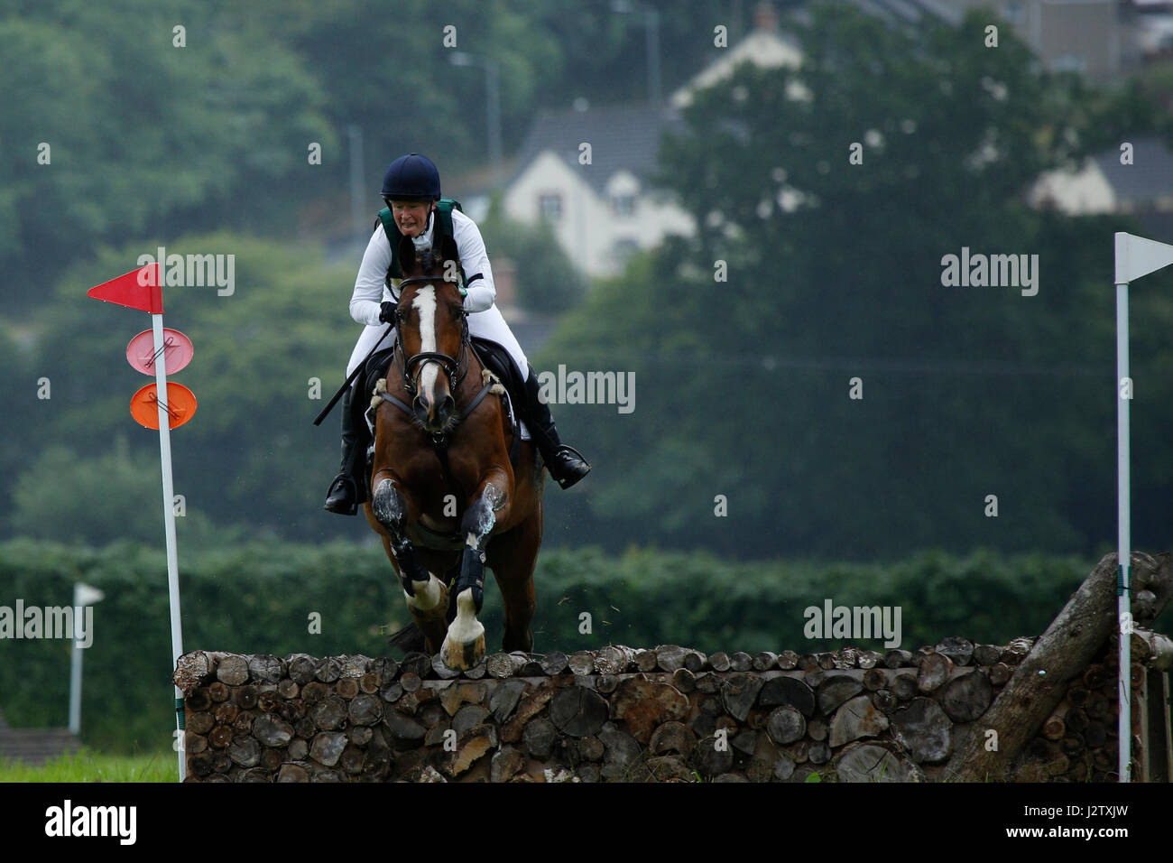 Horse jumping Stock Photo