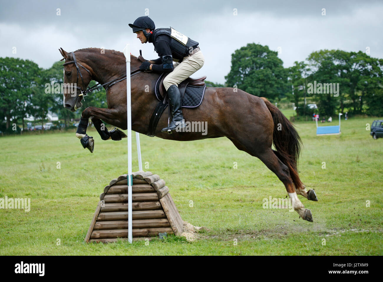 Horse jumping Stock Photo
