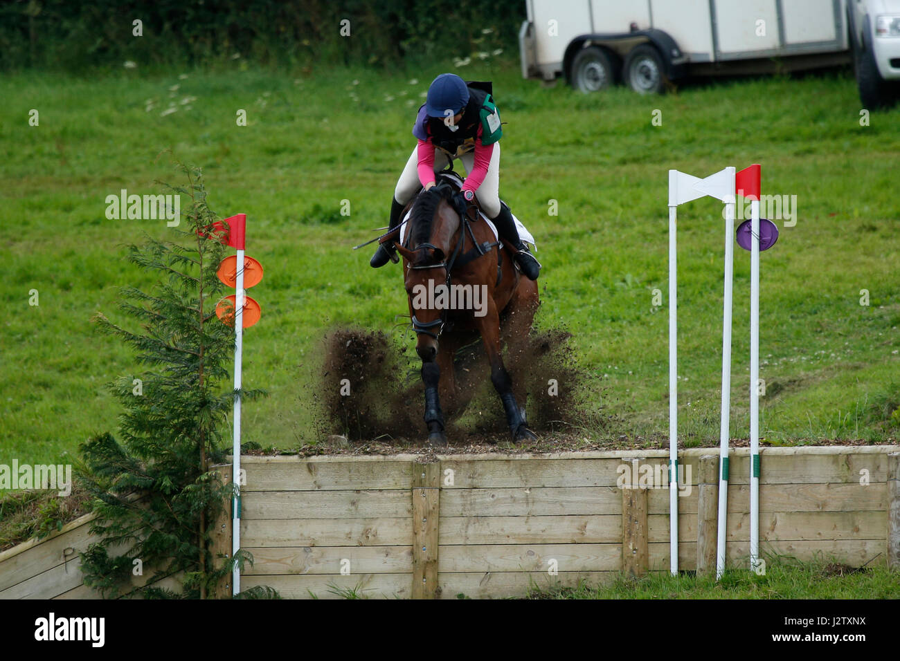 Horse jumping Stock Photo