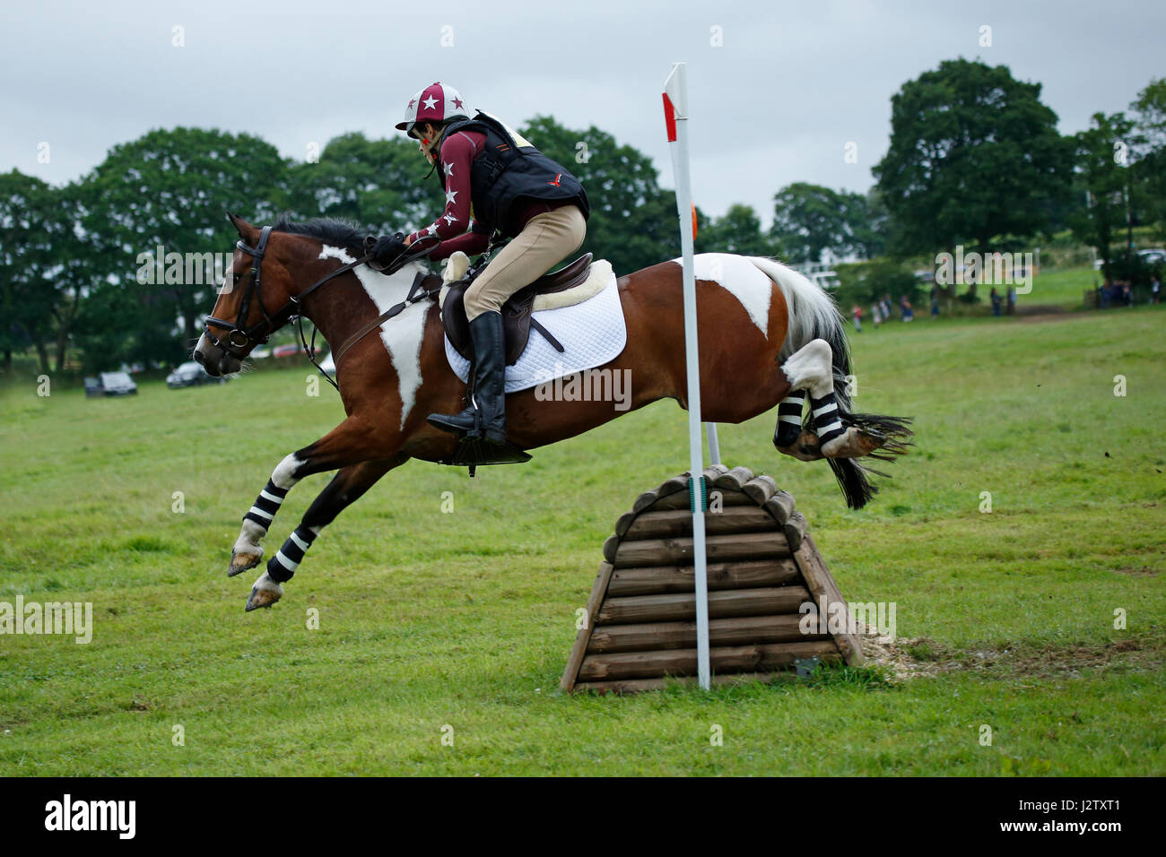 Horse jumping Stock Photo
