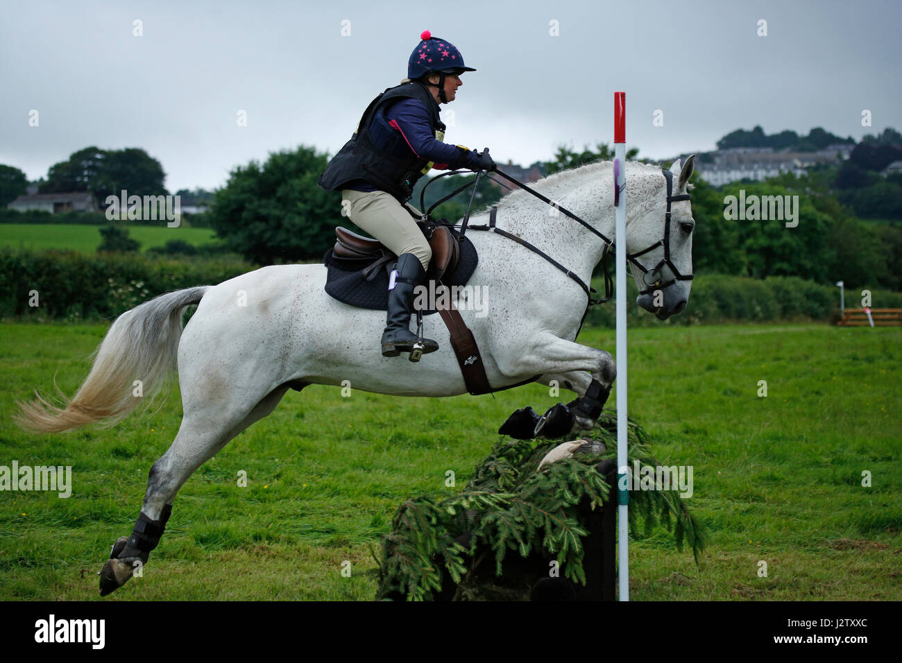 Horse jumping Stock Photo