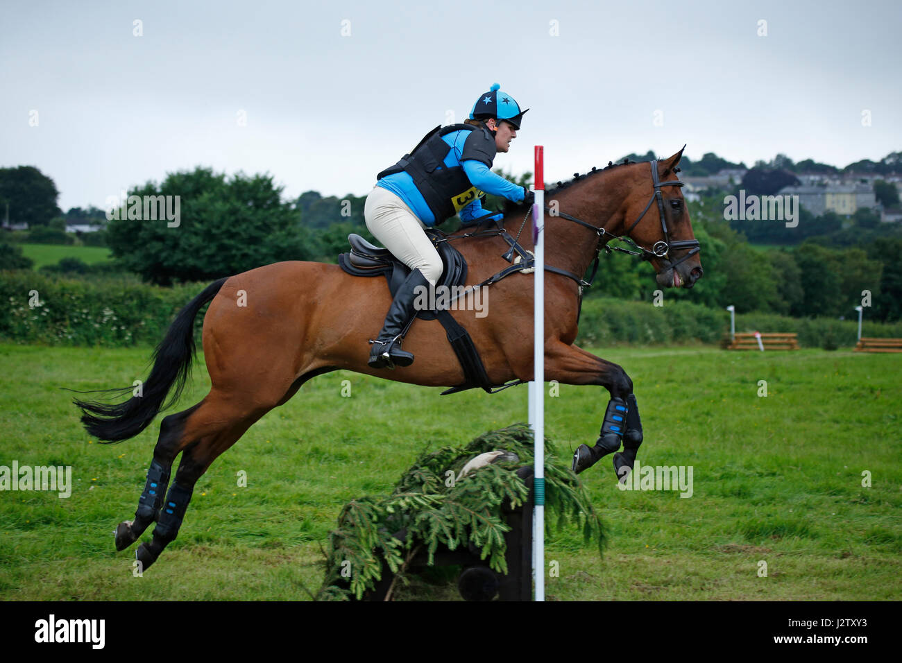 Horse jumping Stock Photo