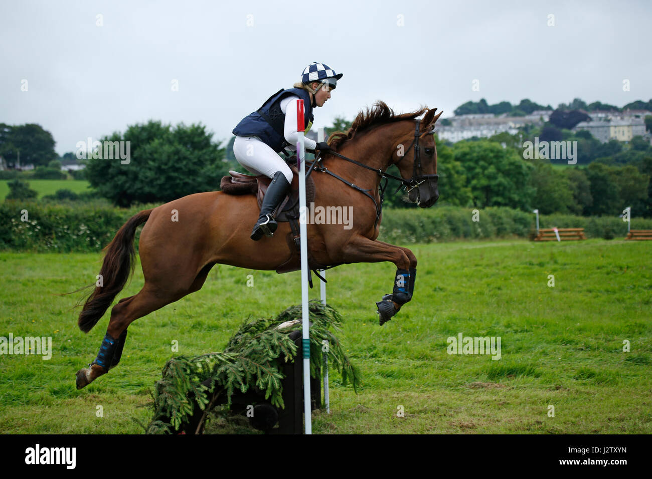 Horse jumping Stock Photo