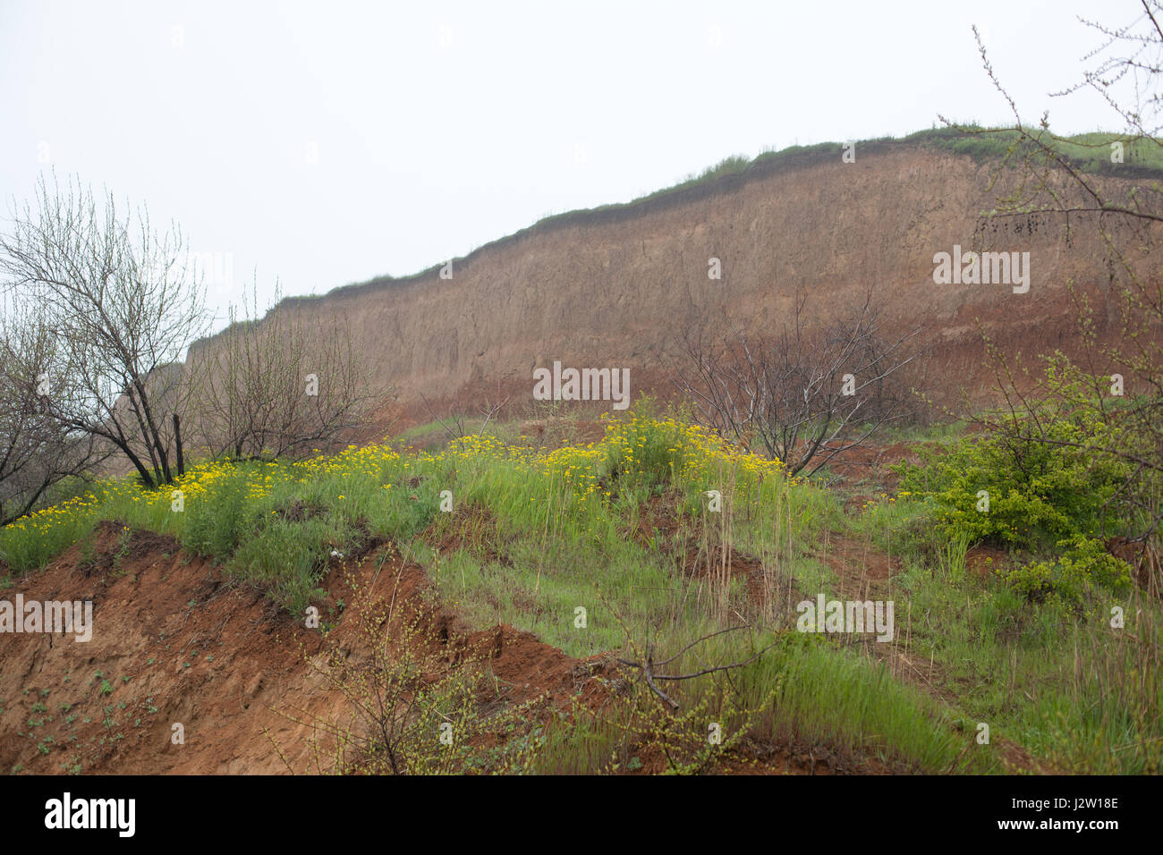Loam soil cross section plant hi-res stock photography and images - Alamy
