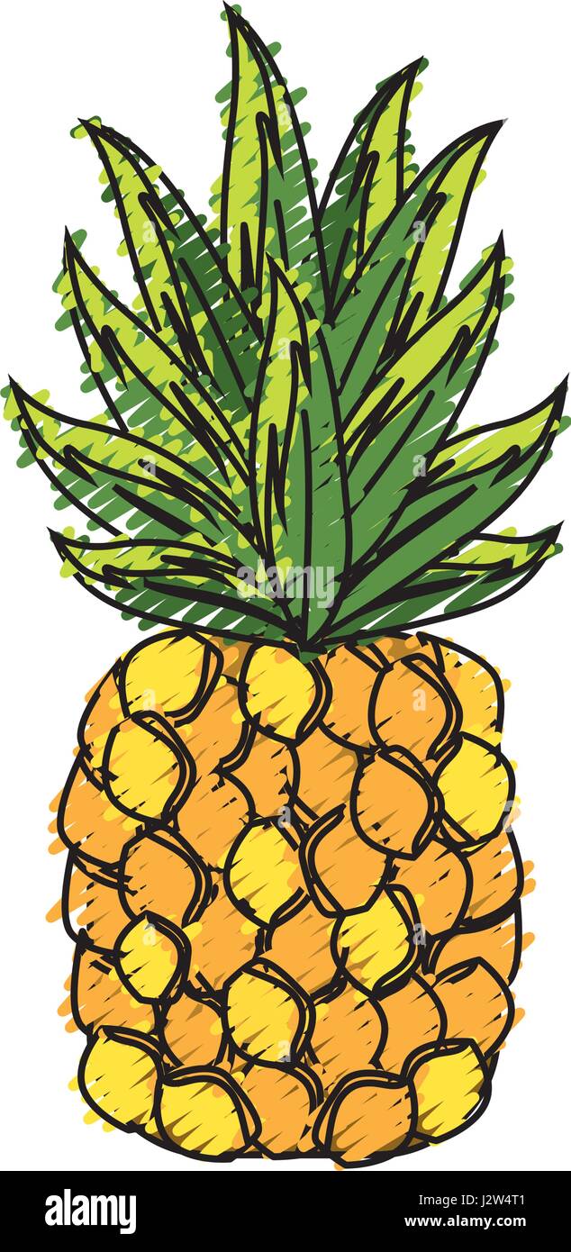 delicious pineapple tropic fruits Stock Vector Image & Art - Alamy