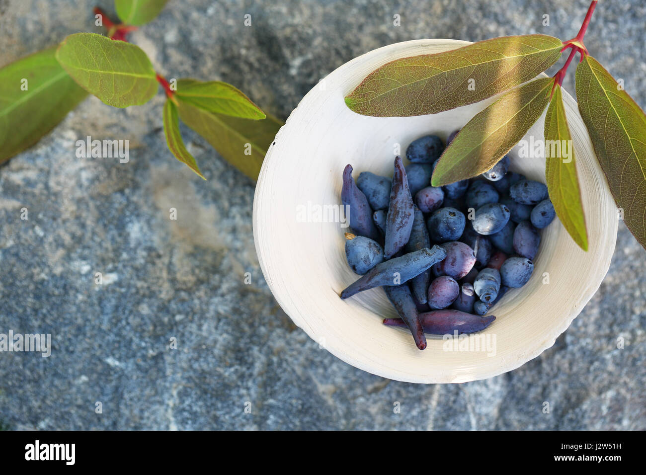 berries of honeysuckle Stock Photo Alamy