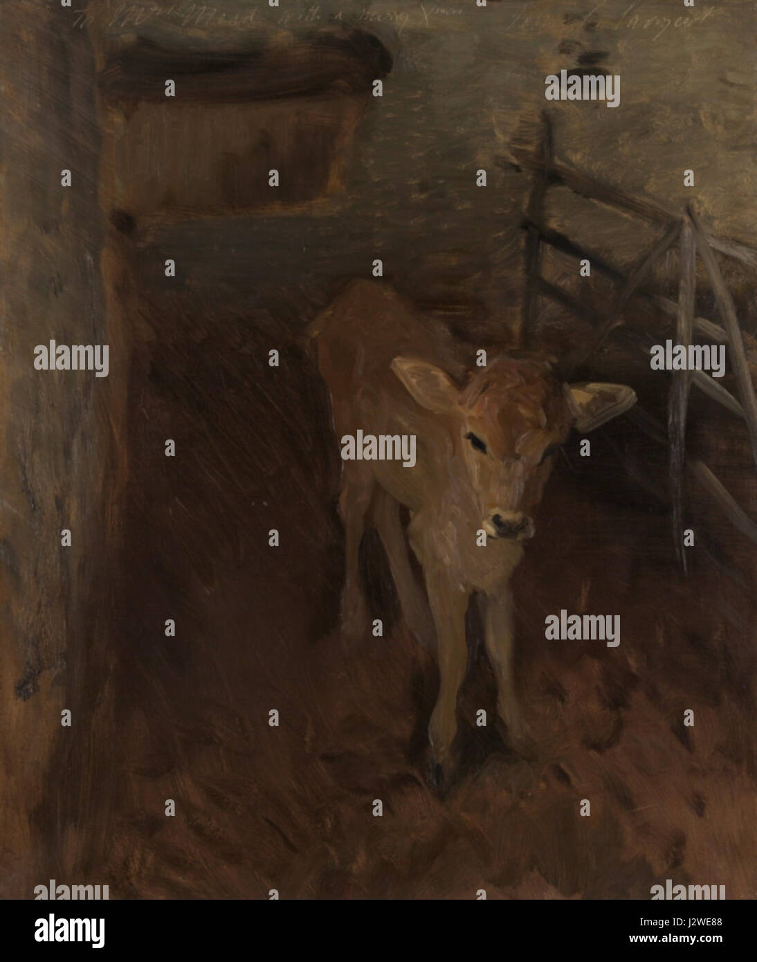 A Jersey Calf by John Singer Sargent 1893 Stock Photo