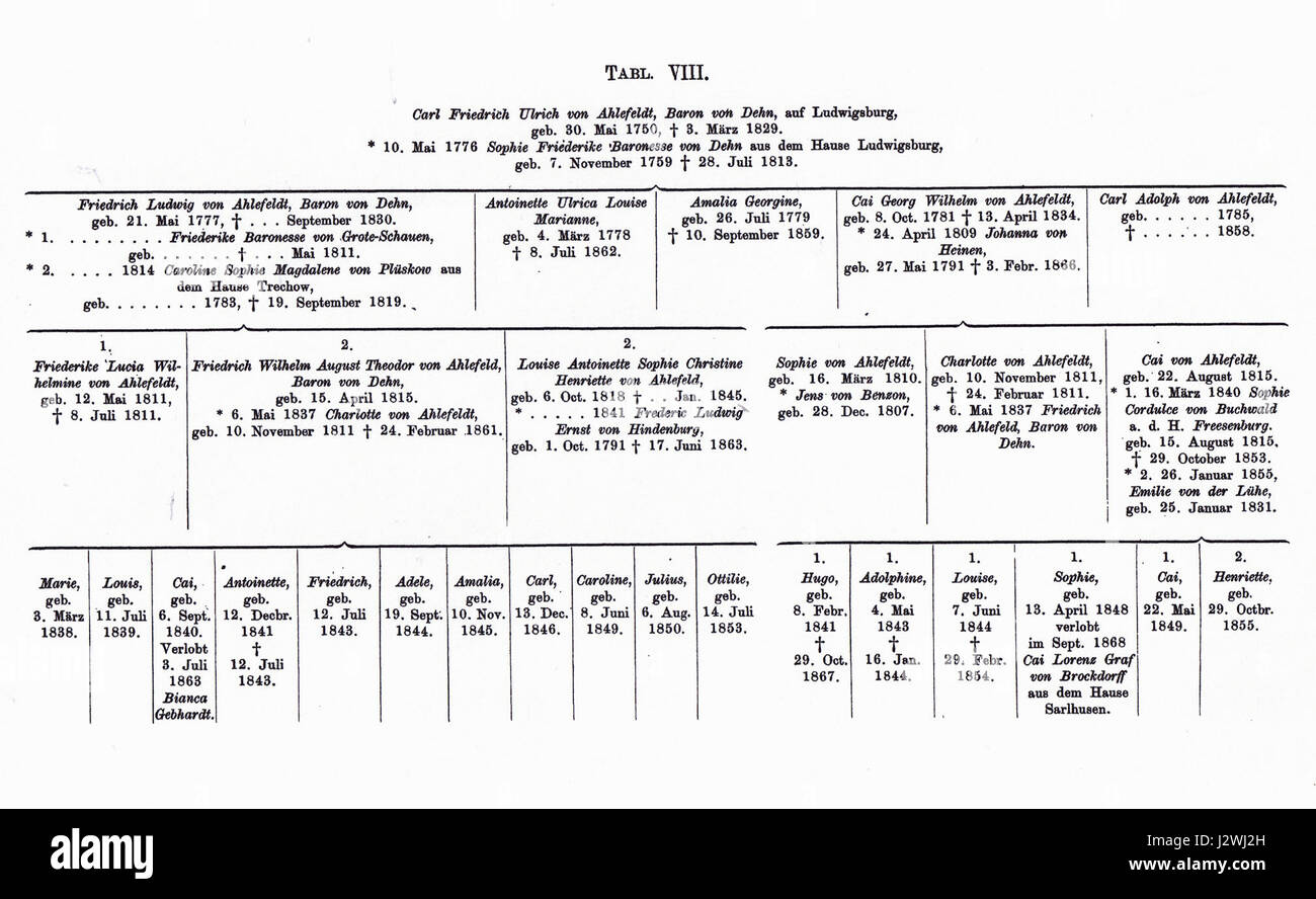Ahlefeldt Stammtafel 11 Stock Photo Alamy