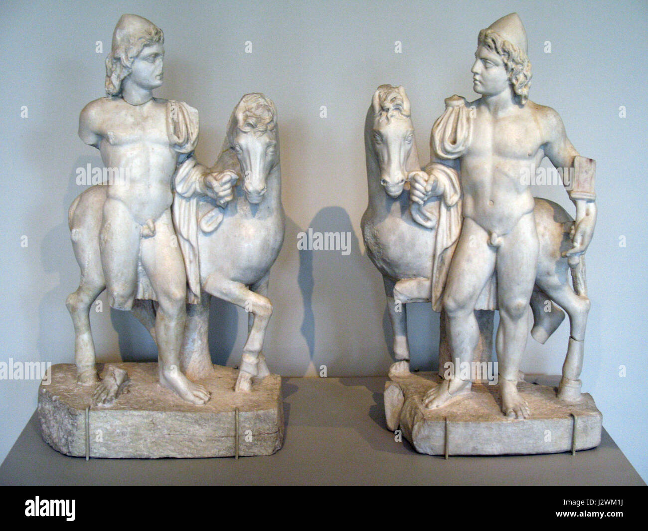 Castor Pollux anagoria Stock Photo Alamy