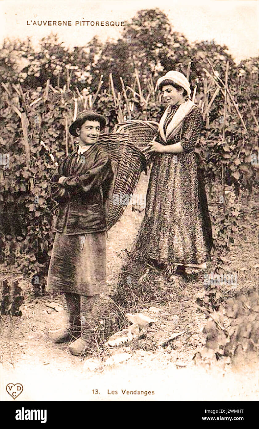 Auvergne vendangeur et vendangeuse Stock Photo Alamy
