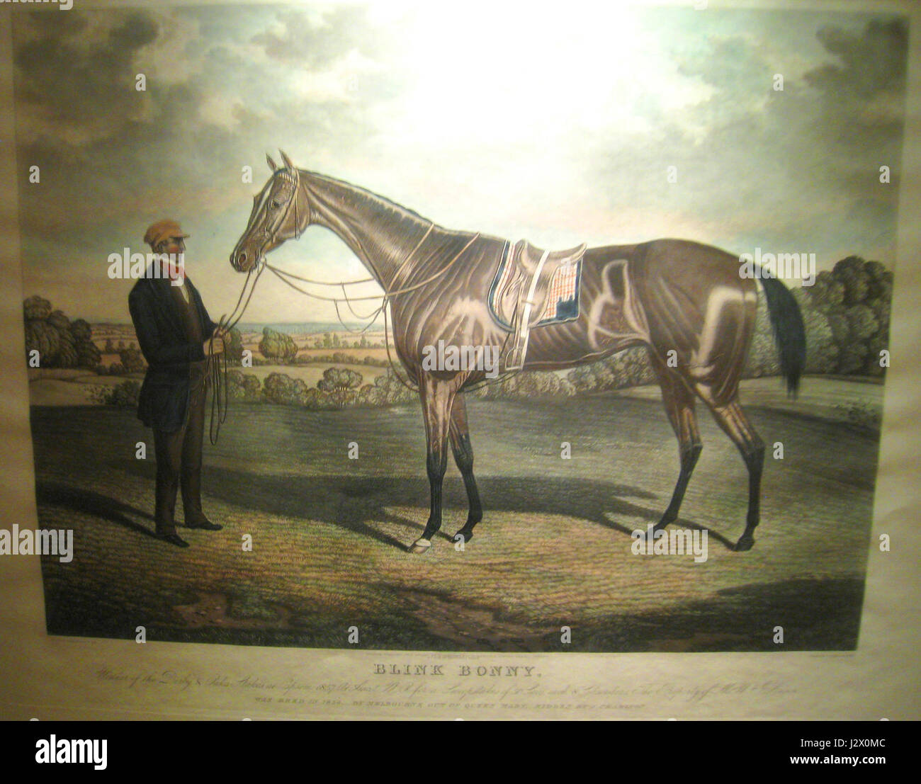 70年代 イギリスの競走馬 雑誌「The British Racehorse」 Racehorses of 1977 : Free Download, Borrow, and Streaming