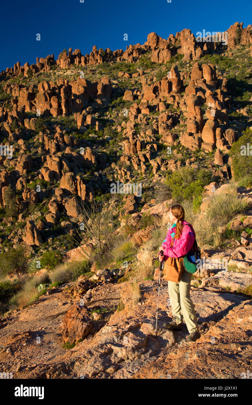 Hiker on Peralta Trail, Superstition Wilderness, Tonto National Forest, Arizona Stock Photo