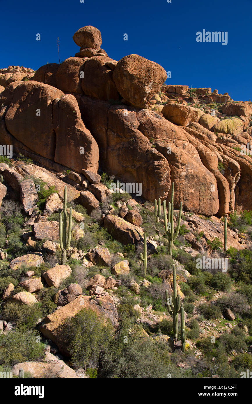 Peratal Ridge Ridge outcrop from Peralta Trail, Superstition Wilderness, Tonto ...