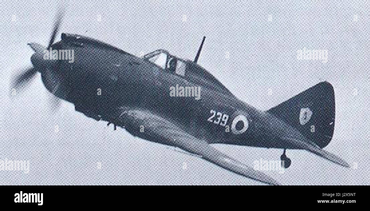 Reggiane Re 2002 Co-Belligerent Air Force Stock Photo