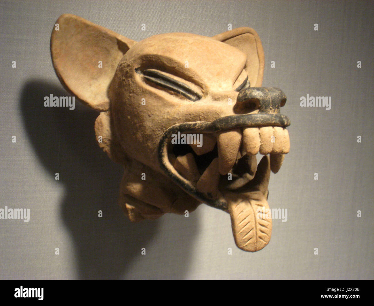 Animal Head, Mexico, State of Veracruz, Remojada culture, Classic Period, 300-600 AD, ceramic, Pre-Columbian collection, Worcester Art Museum - IMG 7656 Stock Photo