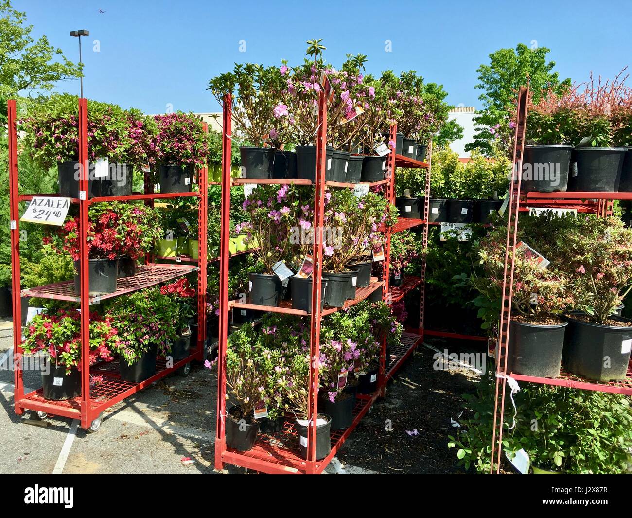 The Home Depot Plants High Resolution Stock Photography and Images Alamy