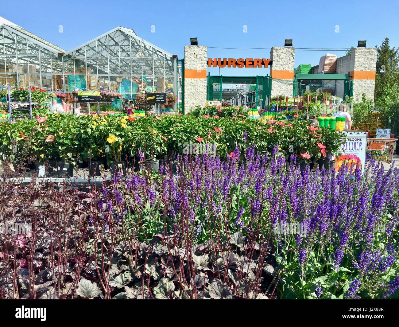 Home Depot Nursery filled with fresh plants, flowers, and gardening supplies Stock Photo