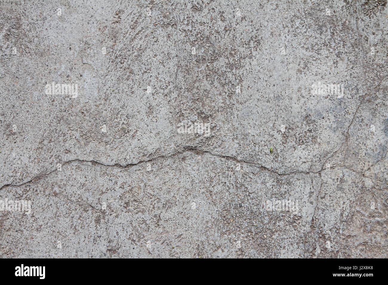 Concrete Background with Leaf Stock Photo - Alamy