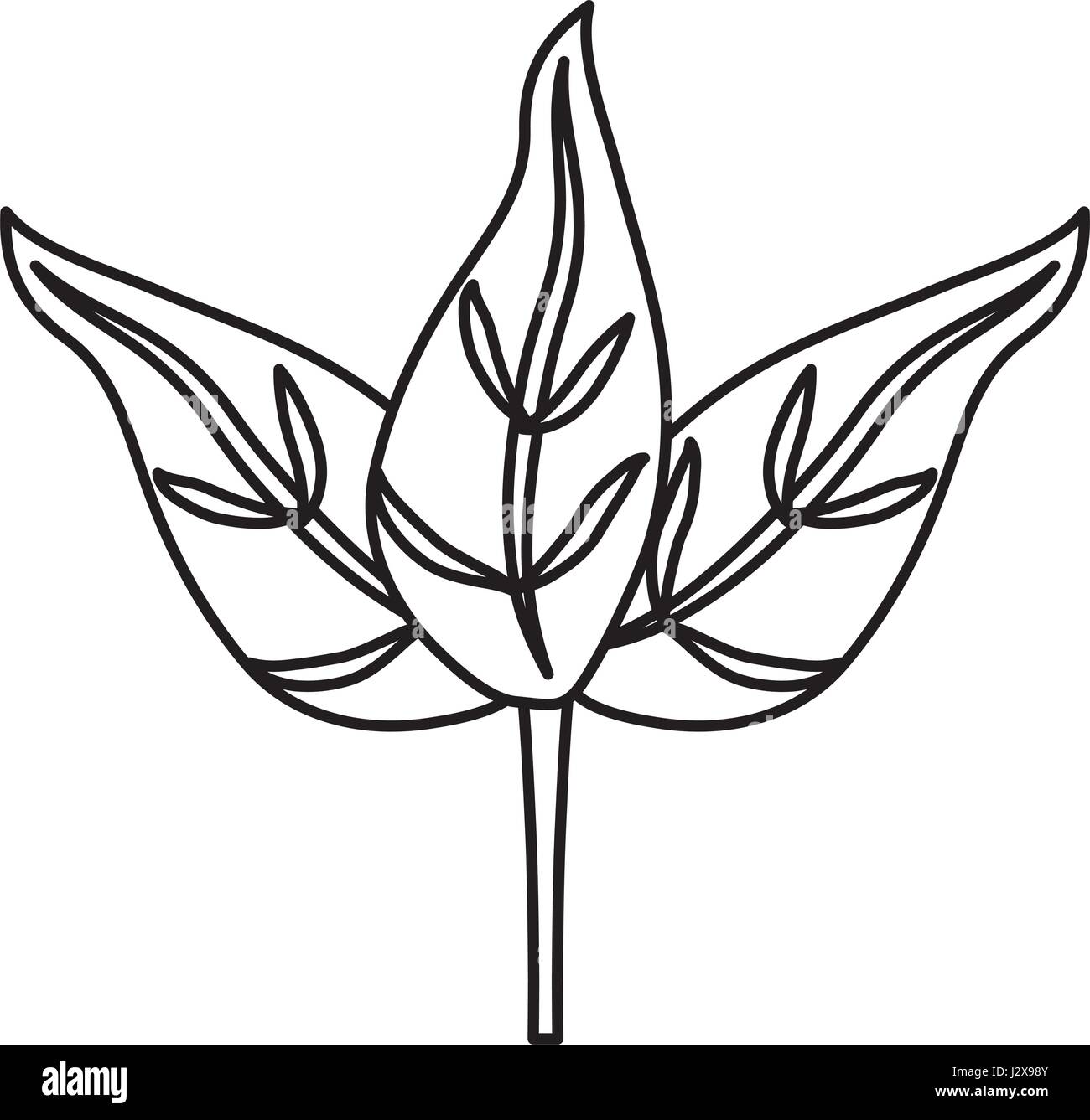 leaves icon image Stock Vector Image & Art - Alamy