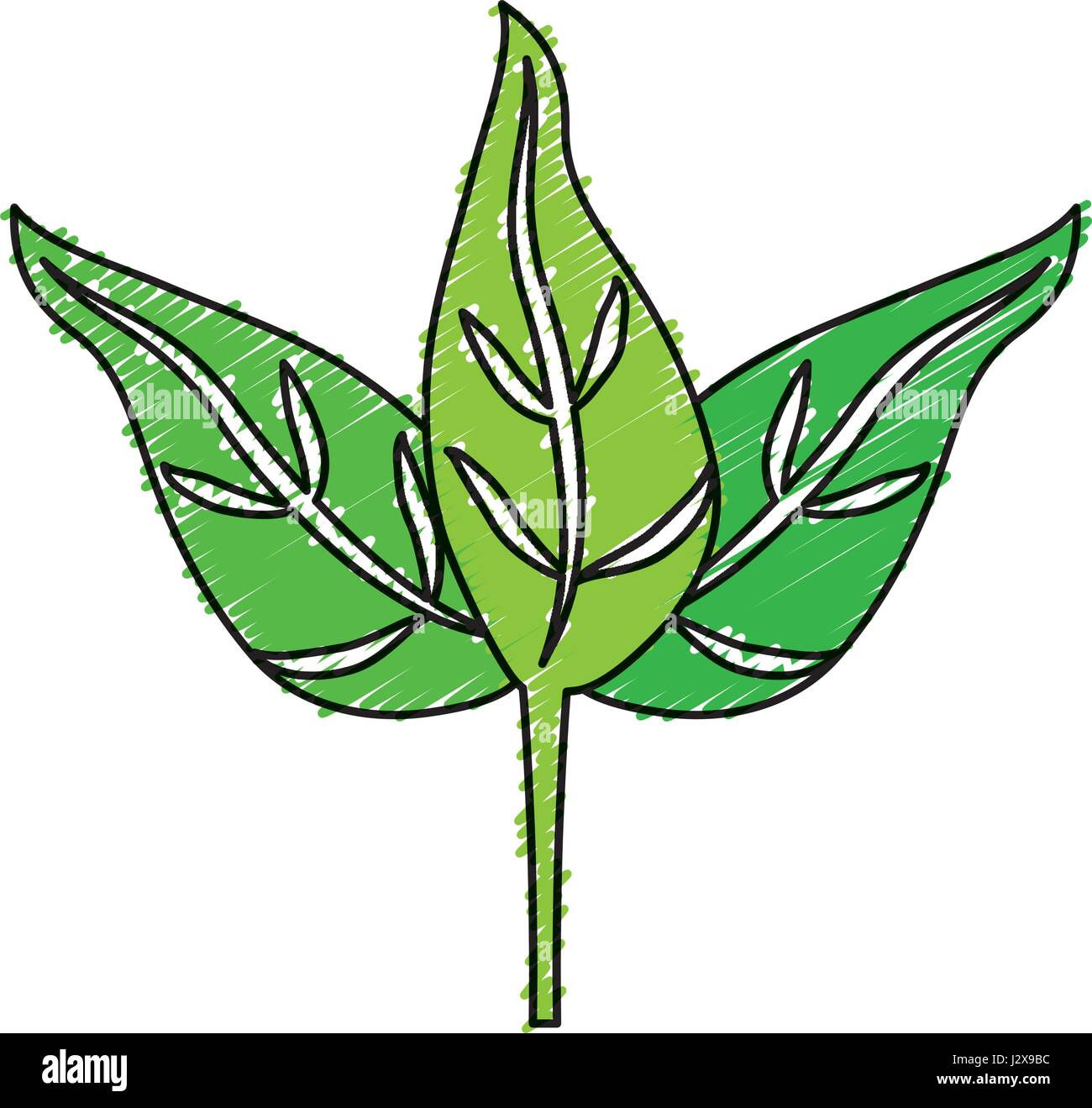 leaves icon image Stock Vector Image & Art - Alamy