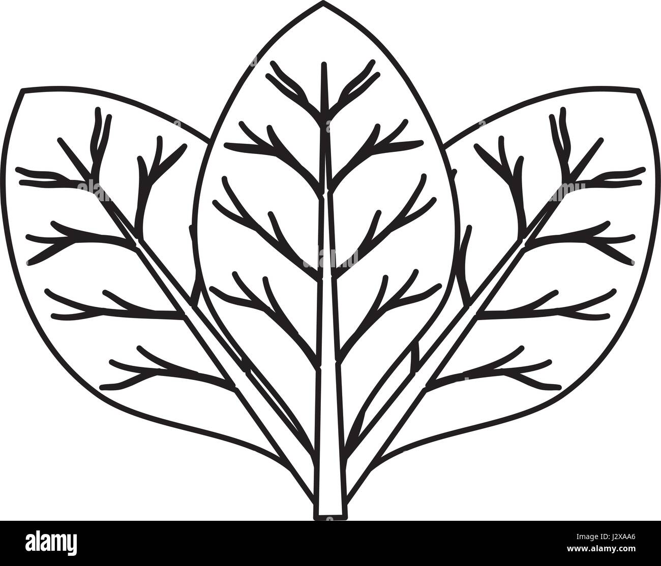 leaves icon image Stock Vector Image & Art - Alamy