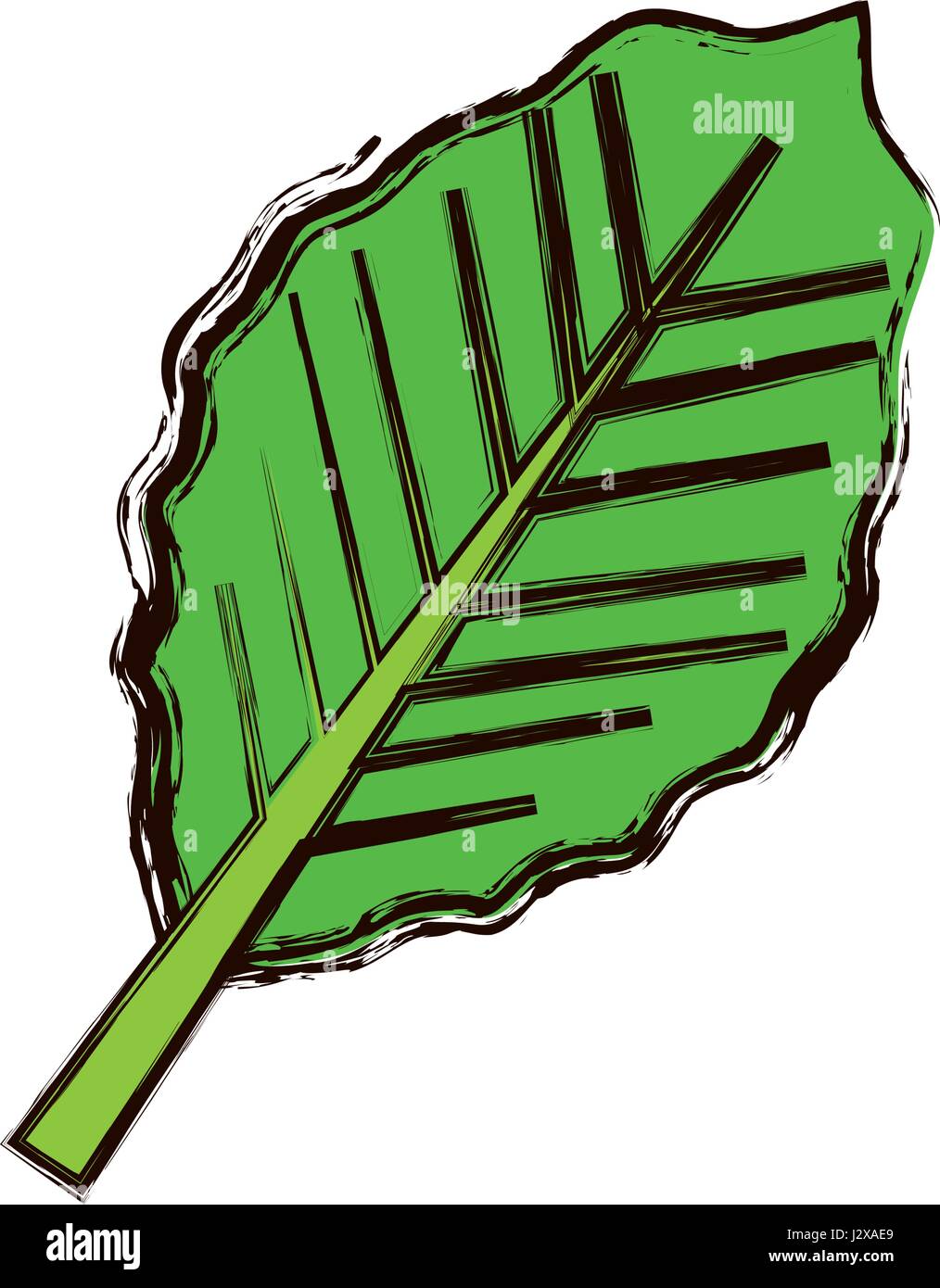 leaf icon image Stock Vector Image & Art - Alamy