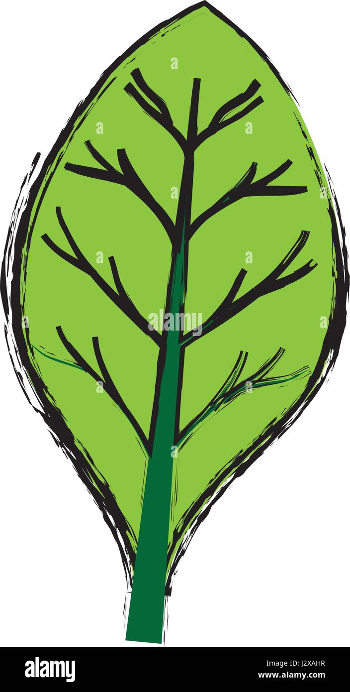 leaf icon image Stock Vector Image & Art - Alamy