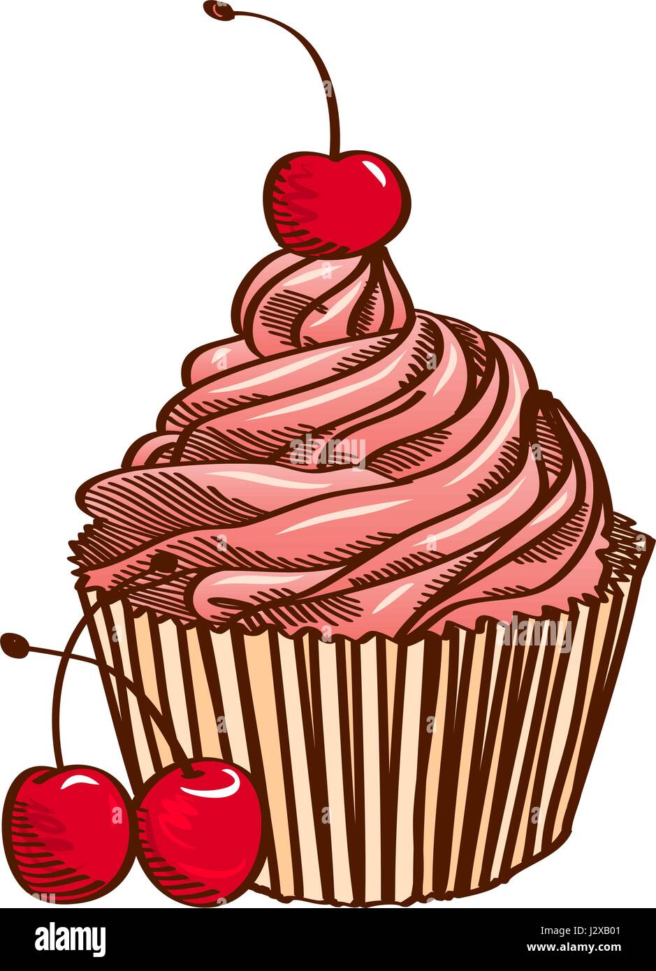 Cupcake with pink cream and cherry, isolated on a white background ...