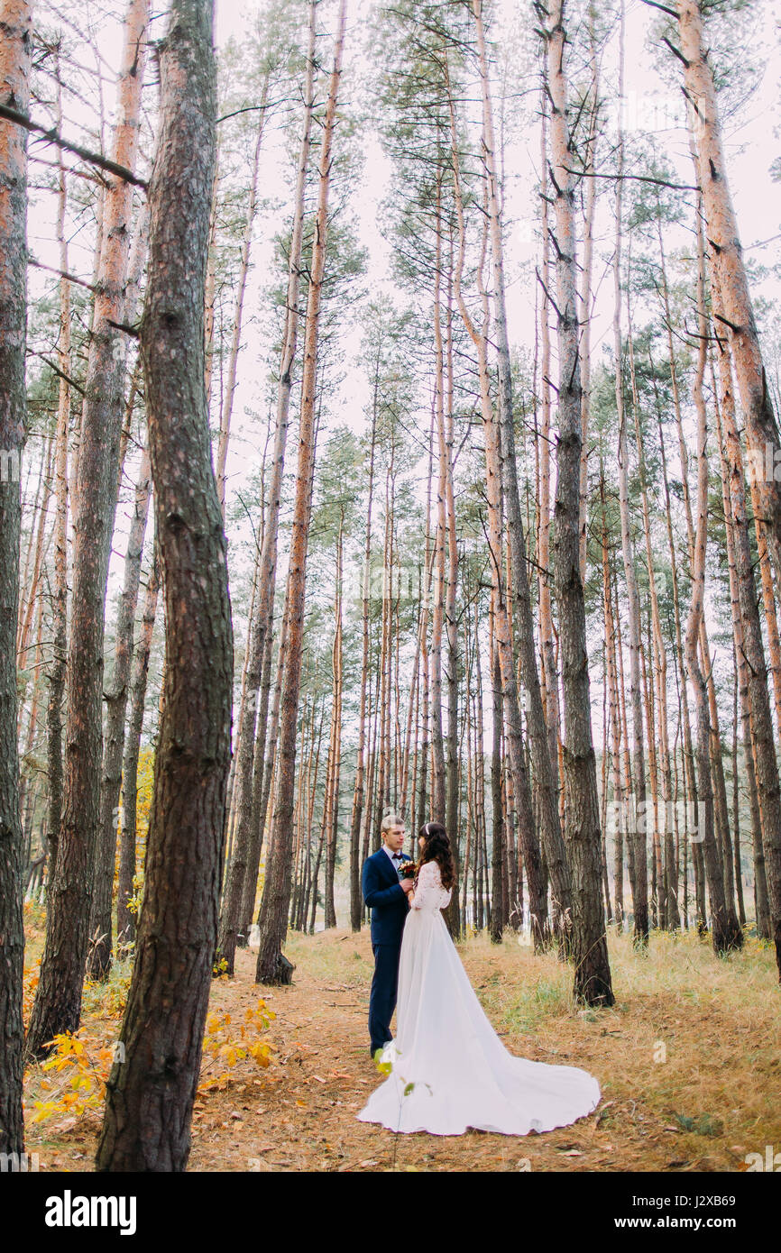 Happy stylish groom and his charming new wife posing in the autumn pine ...