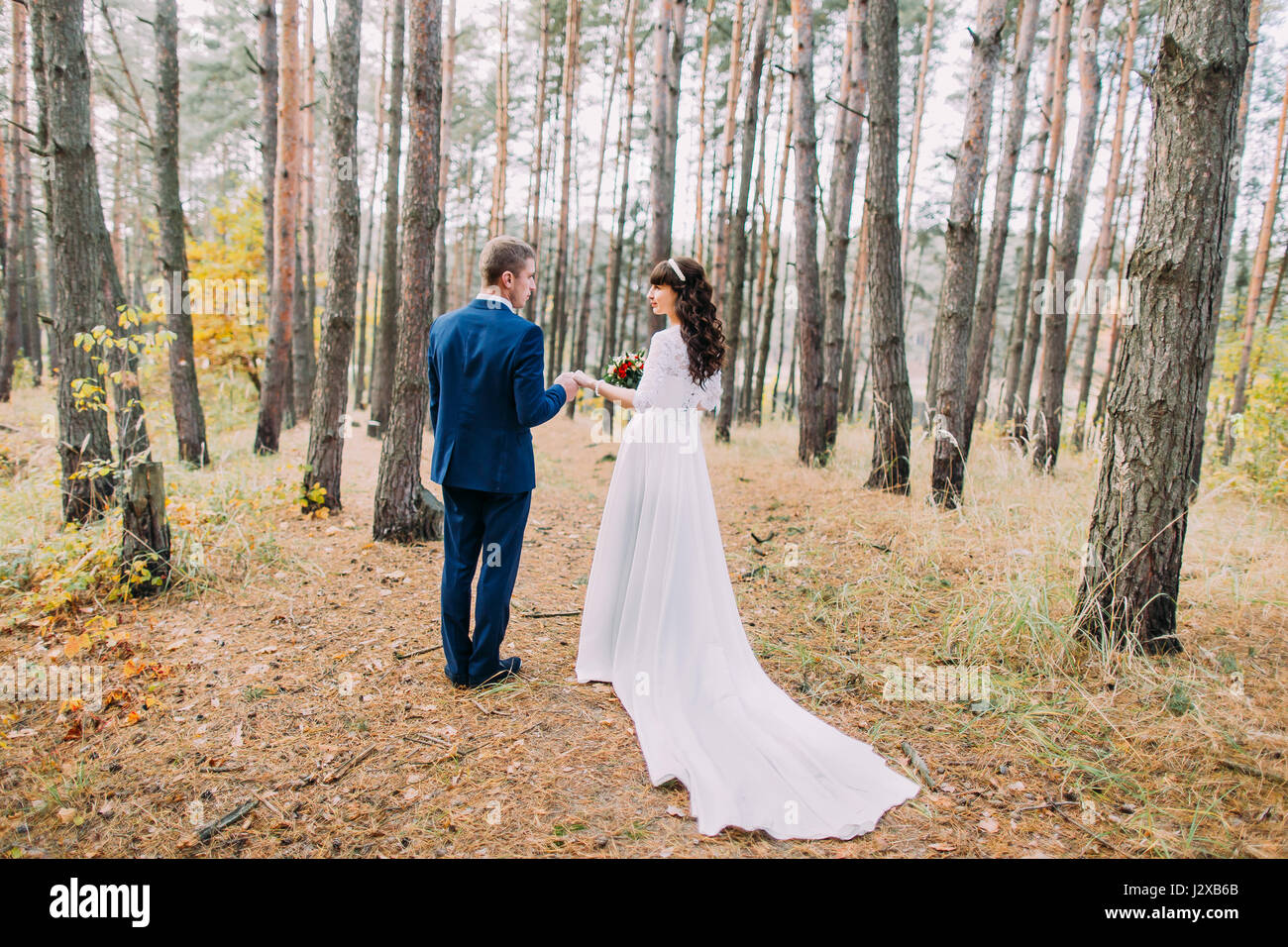 Happy stylish groom and his charming new wife posing in the autumn pine ...