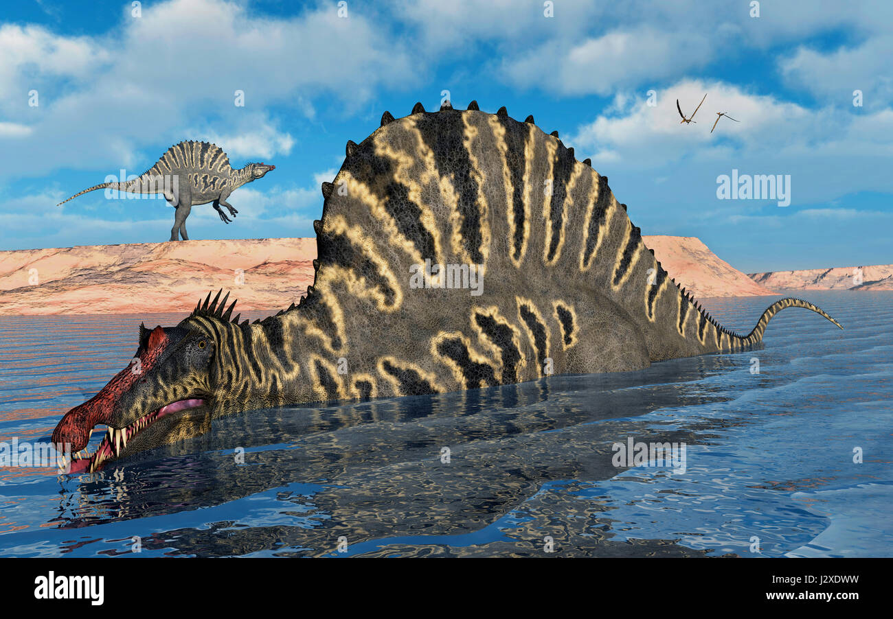 A Pair Of Spinosaurus Dinosaurs Hunting For Food , During Earths Cretaceous Era , In What Is Modern Day North Africa. Stock Photo