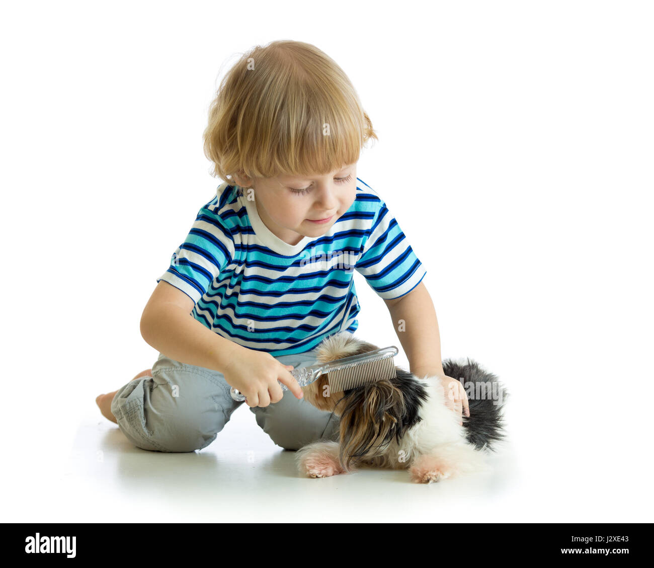 Child comb brushing dog Stock Photo