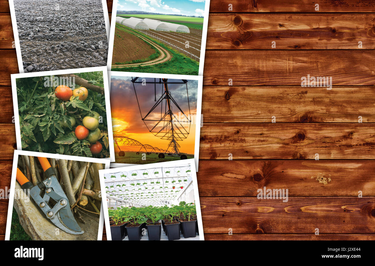 Agriculture photo collage on wooden background as copy space Stock ...