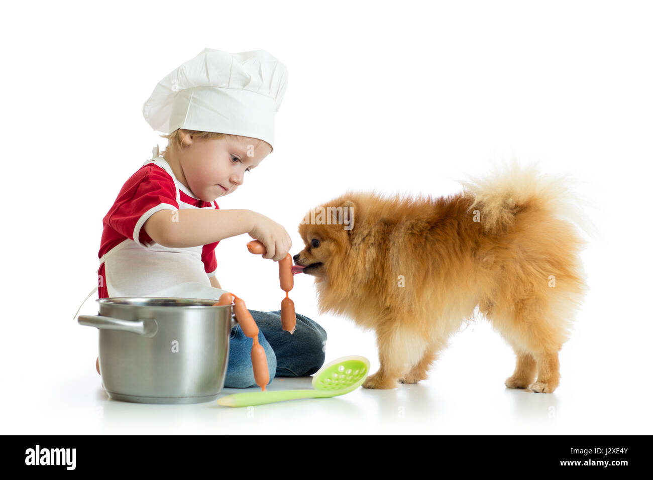 Kid boy plays chef with dog. Child weared cook feeds Spitz puppy. Stock Photo