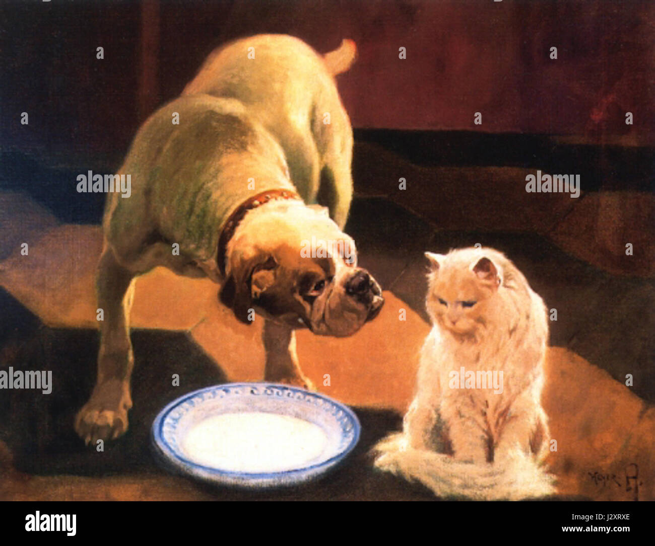 Arthur The Cat Stock Photos & Arthur The Cat Stock Images - Alamy