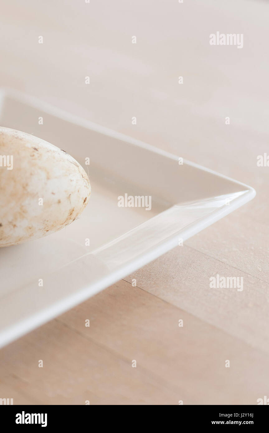 A very fresh goose egg on a plate Unwashed Large egg Shell Natural Nature Organic Minimalist image Stock Photo