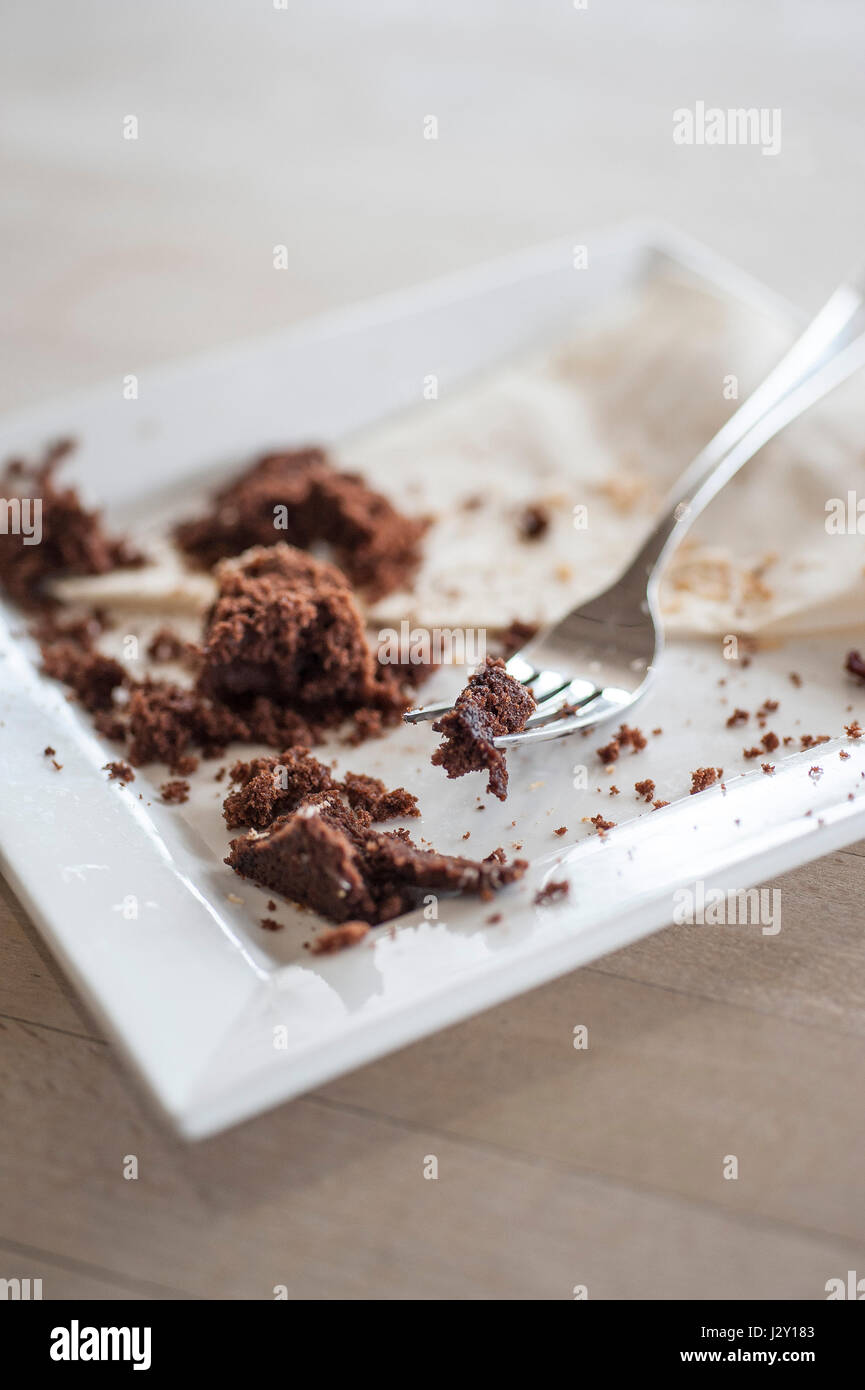 Food Remains of a chocolate cake Crumbs Plate Fork Eaten Enjoyed Treat Satisfied Stock Photo