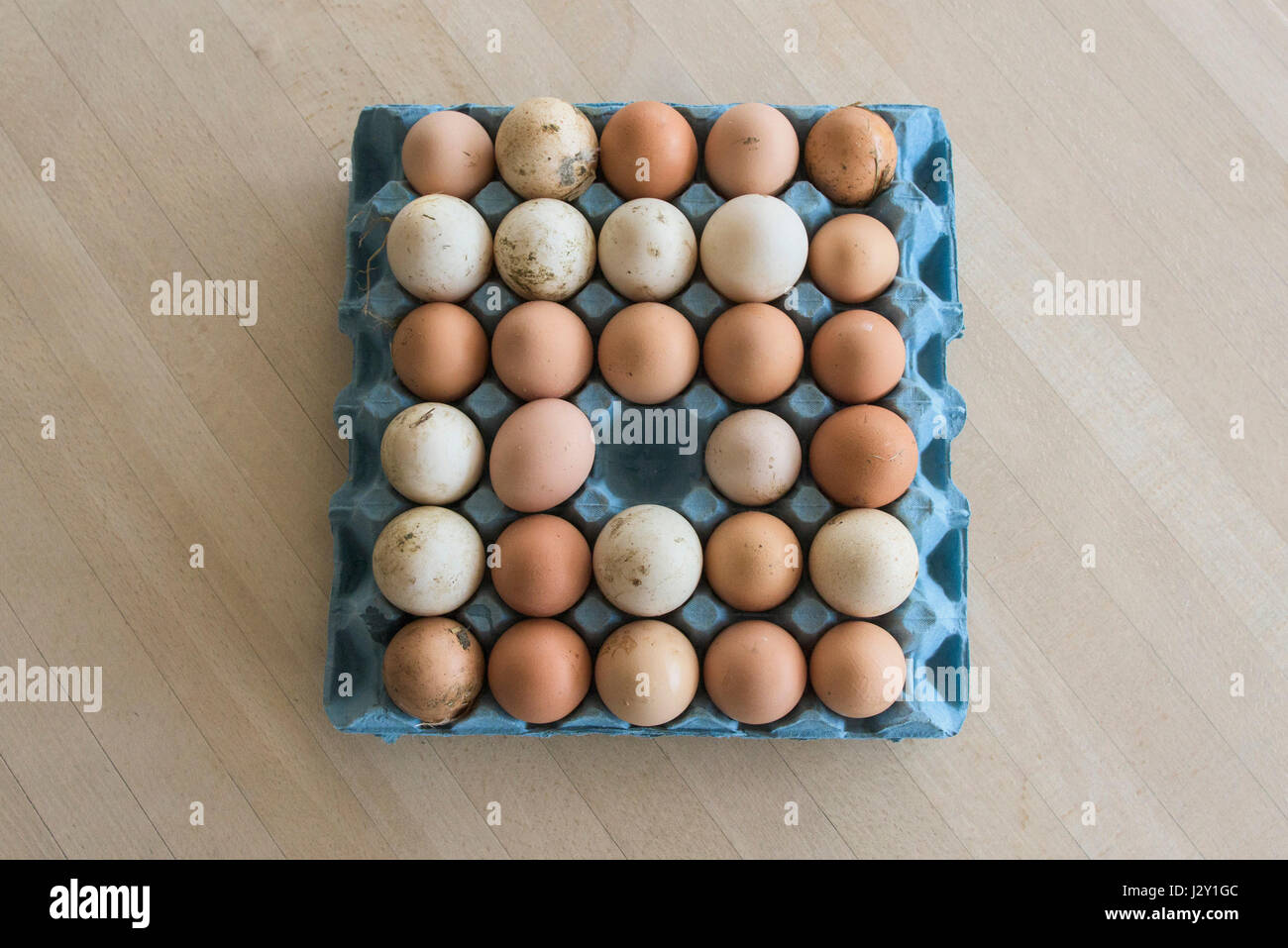 A tray of very fresh unwashed eggs Shells Natural Nature Source of Protein Free range eggs Organic Eggshell Eggshells One used One removed Stock Photo