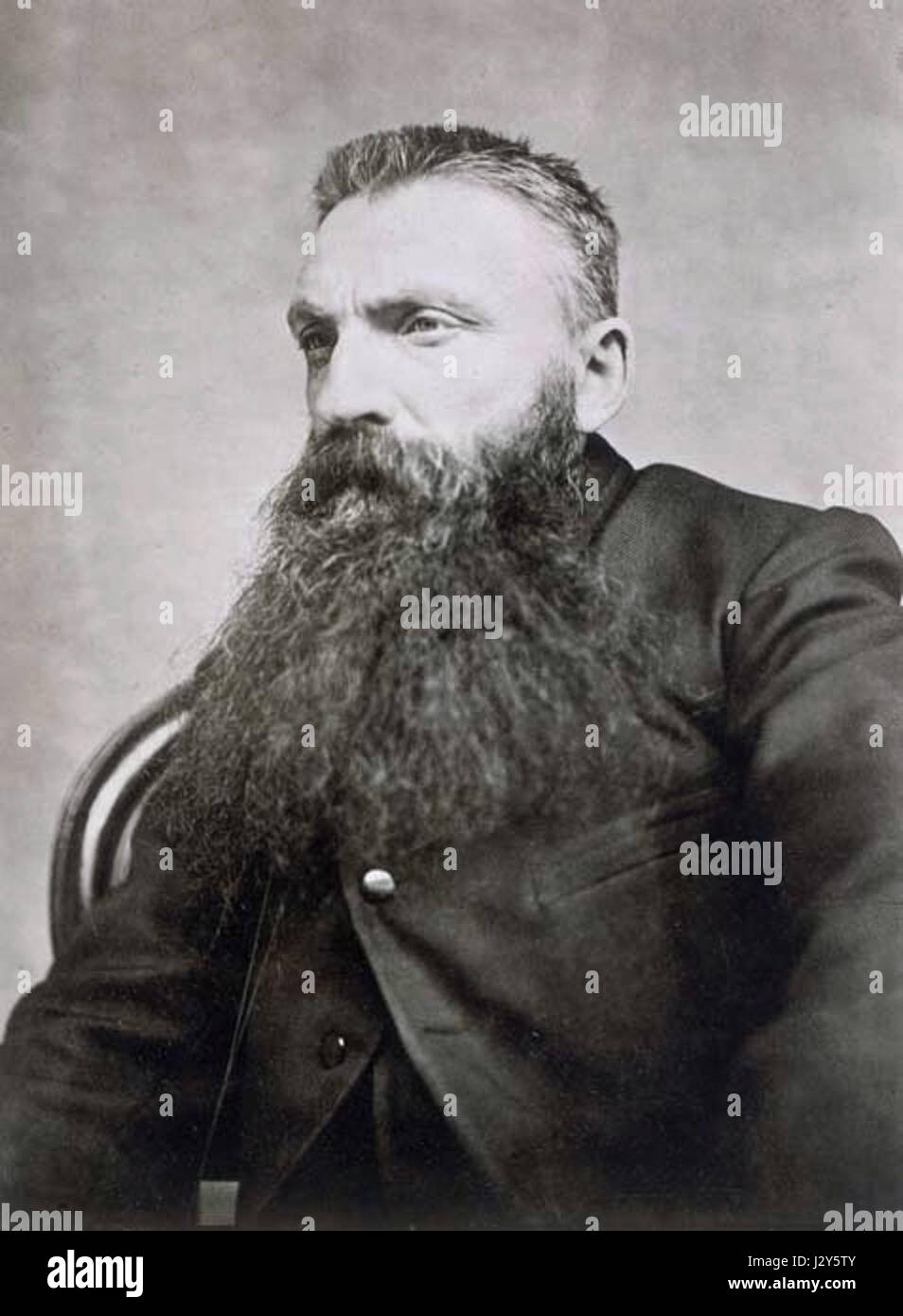 braun crew cut