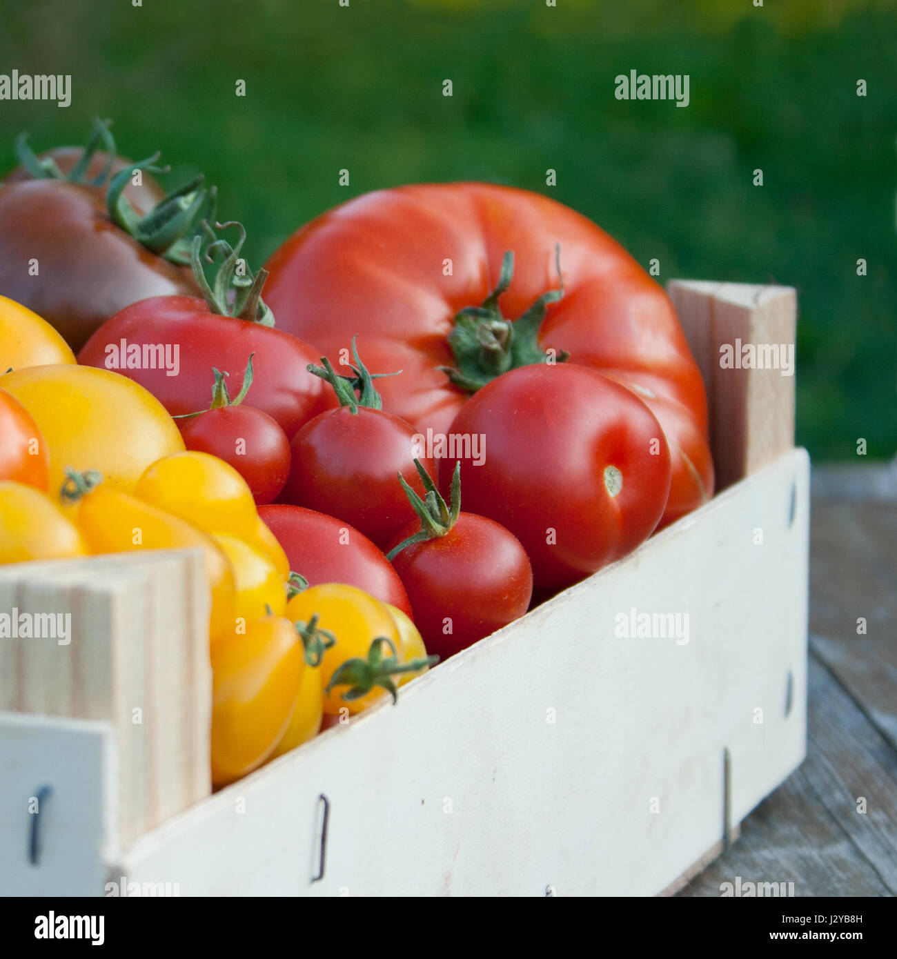 Wooden box with different types of ripe, fresh tomatoes Stock Photo - Alamy