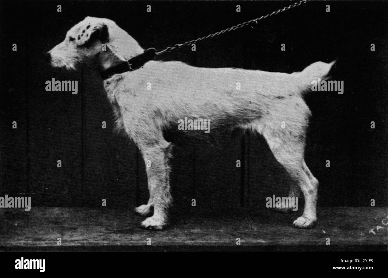 Carlisle map hires stock photography and images Alamy