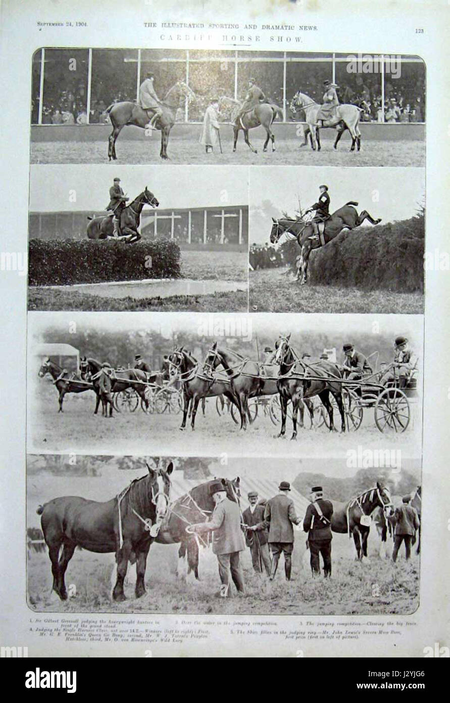 Cardiff Horse Show Stock Photo Alamy