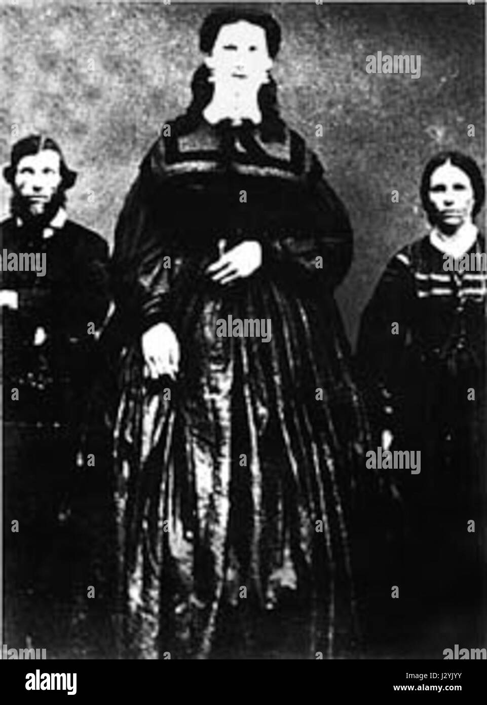 Soqollangan mushuklarning yaqindan suratlari Janubiy Park multfilm porno